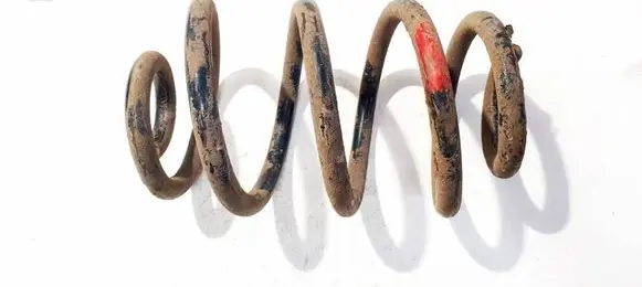 Nissan Leaf I (ZE0) Rear coil spring 
