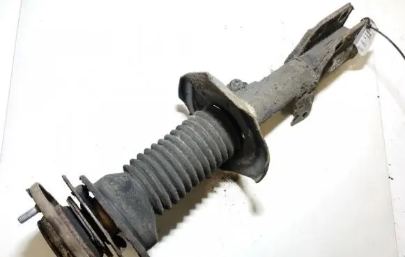 Toyota Corolla Verso AR10 Front shock absorber/damper