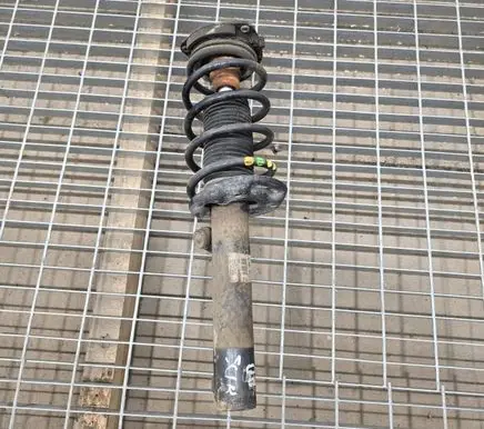 Skoda Superb B6 (3T) Front shock absorber with coil spring 3C0413031A 46ZFV338 824904004822