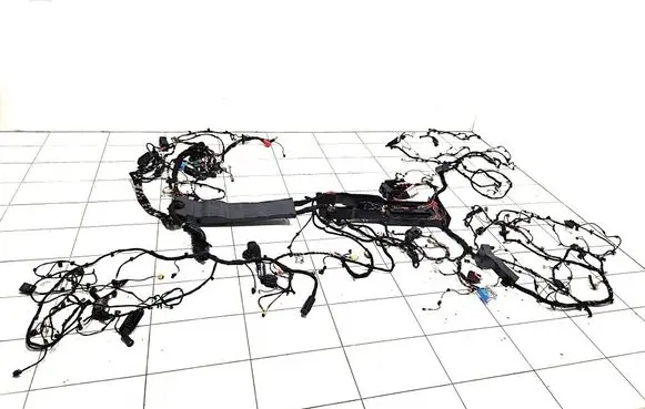 Mercedes-Benz EQE v295 Other wiring loom A2239061402