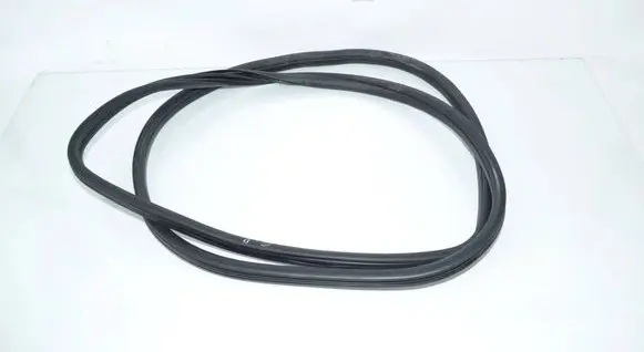 BMW X5 E70 Rubber seal rear door 7220382 51767220382