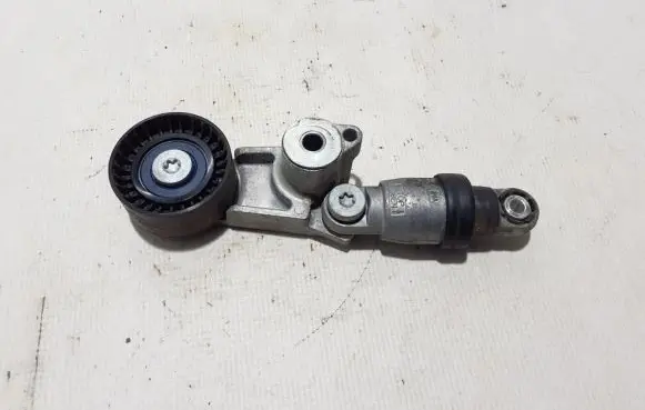 Renault Trafic III (X82) Timing belt/chain tensioner 117501769R