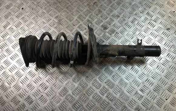 Nissan X-Trail T32 Front shock absorber with coil spring 543024CB1E