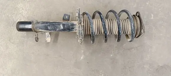 Ford Kuga II Front shock absorber with coil spring CV6118045DCB
