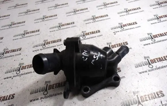 Thermostat/thermostat housing