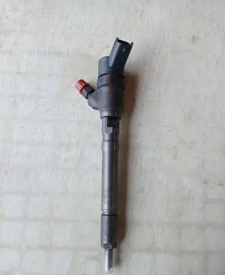 Hyundai Santa Fe Fuel injector 0445110064