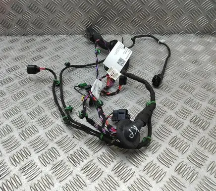 Porsche Taycan 9J1 Front door wiring loom 9JA971036AE