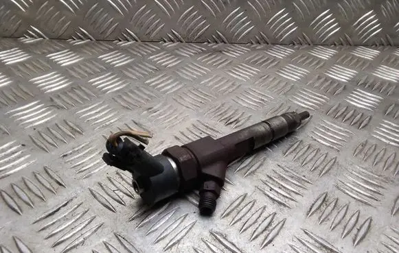 Renault Megane II Fuel injector 8200100272 0445110110B