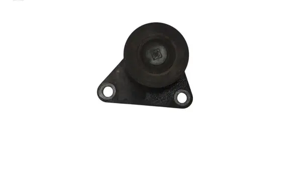 Ford S-MAX Generator/alternator belt tensioner