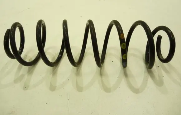 Skoda Fabia Mk3 (NJ) Rear coil spring