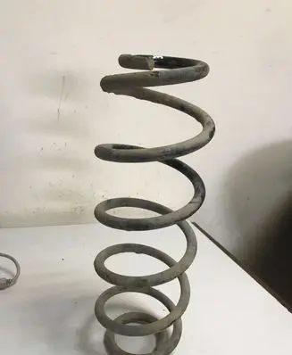 Citroen C4 I Rear coil spring 5436782
