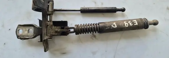 Tailgate strut