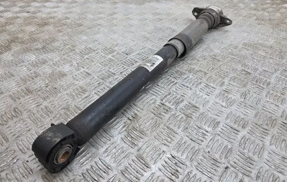 Rear shock absorber/damper