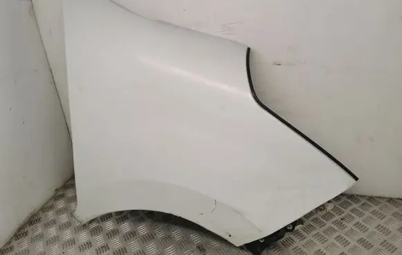 Renault Master III Fender 631000018R