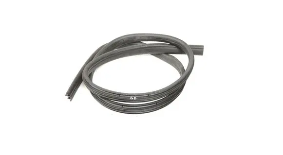 Ford Focus Rubber seal rear door 