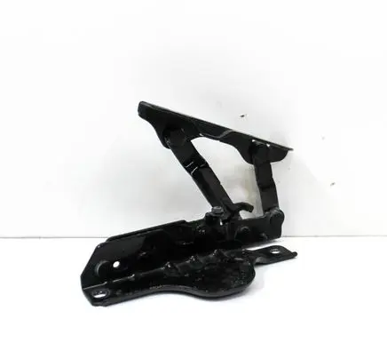Tesla Model S Engine bonnet/hood hinges 102928400C