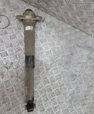 Cupra Born Rear shock absorber/damper 1EA513423