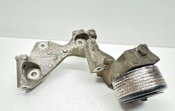 Nissan Juke I F15 Generator/alternator bracket 