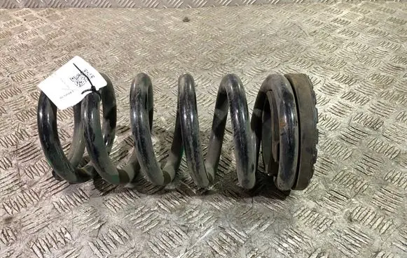 Ford Mustang VI Rear coil spring 113502901RA