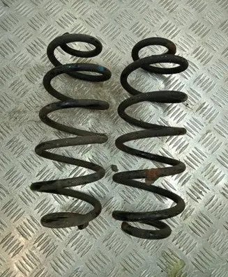 Rear coil spring