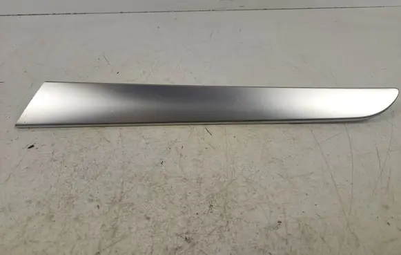 Other rear door trim element