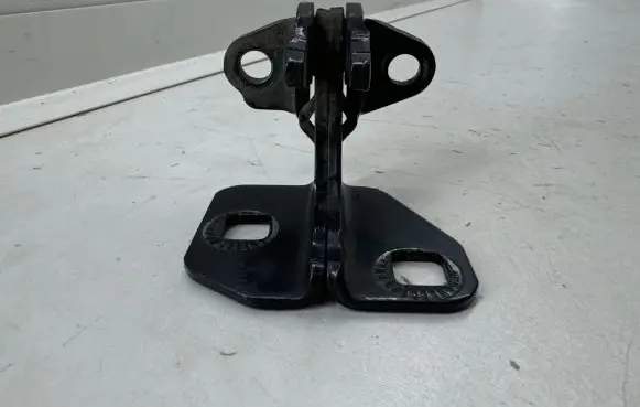 Rear door lower hinge