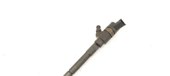 KIA Carens II Fuel injector 0445110258 3380027400