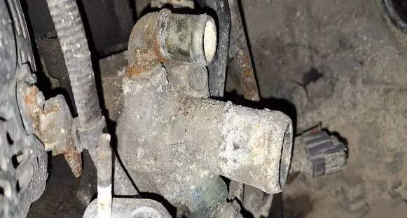 Honda Accord Engine coolant pipe/hose 