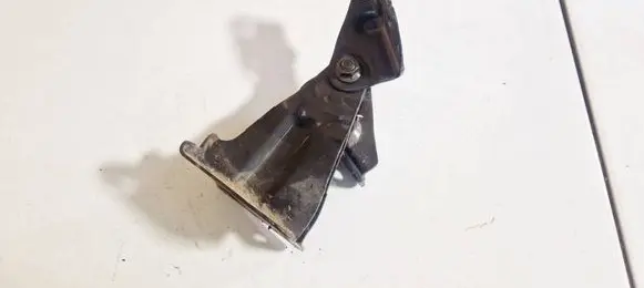 Chevrolet Aveo Rear door lower hinge