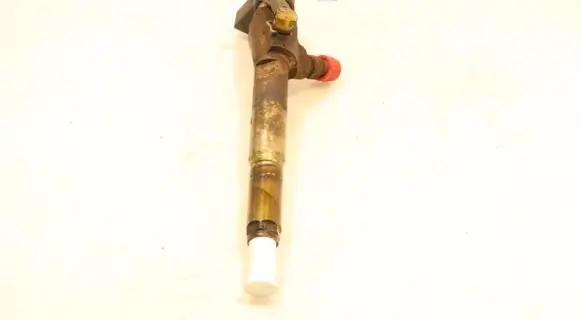 Renault Megane II Fuel injector