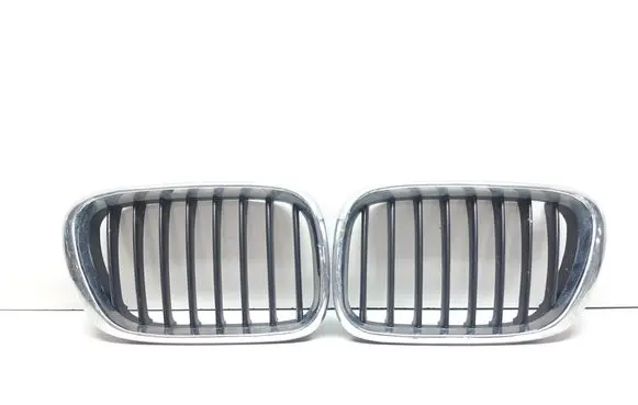 BMW X5 E53 Front grill