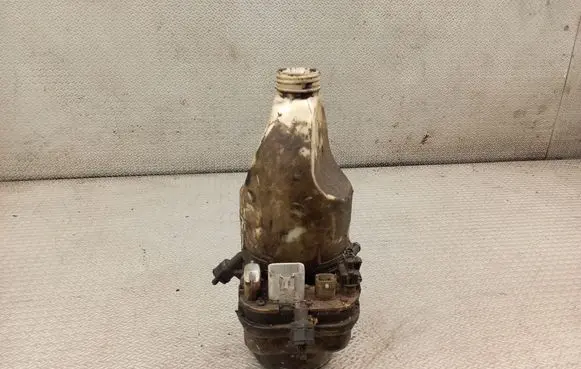 Electric power steering pump