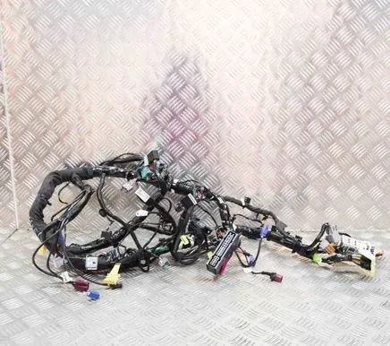 Tesla Model S Other wiring loom 100442281M
