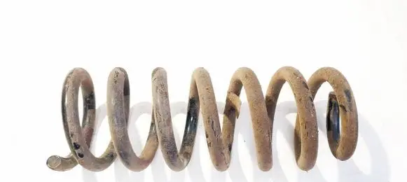 Rear coil spring