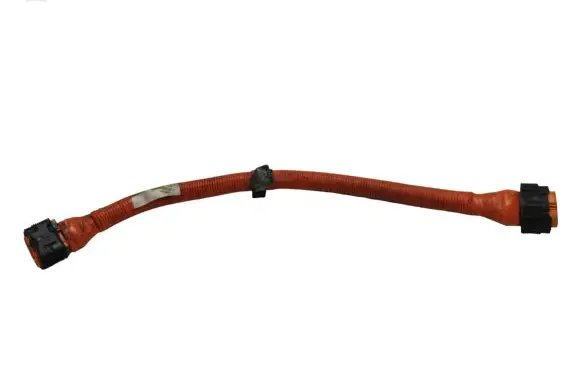Nissan Leaf I (ZE0) Other wiring loom