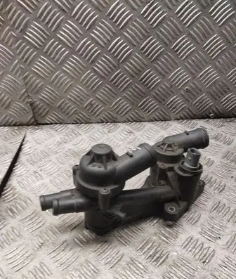 Thermostat/thermostat housing