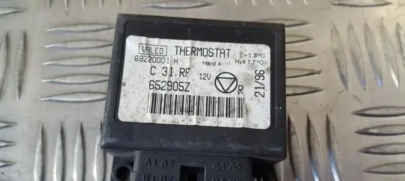 Peugeot 406 Other control units/modules 69220001h 652905z