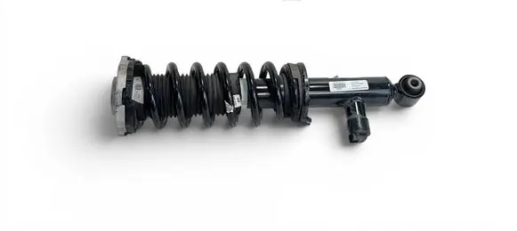 BMW iX3 G08 Rear shock absorber/damper 6898154 53704