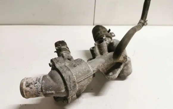 Thermostat/thermostat housing