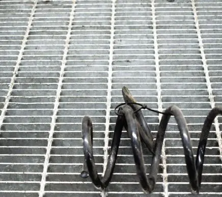 Ford Fiesta Rear coil spring