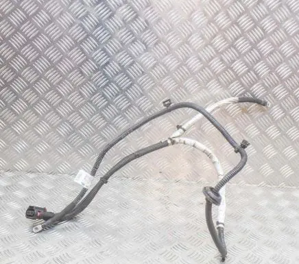 Audi Q5 SQ5 Other wiring loom 8R1971111B