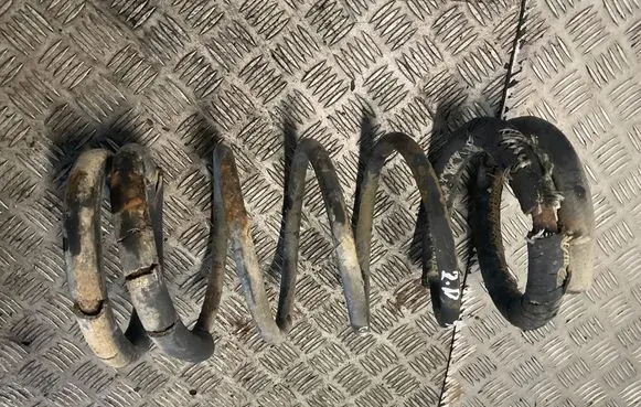 Nissan Terrano Rear coil spring