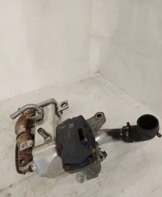 Renault Trafic III (X82) EGR valve H8201068965 147100789R