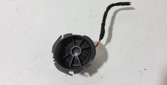 Front door speaker