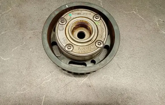 Renault Megane II Timing chain sprocket 743272