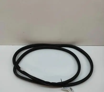 Mitsubishi Lancer Rubber seal front coupe door 5725A033