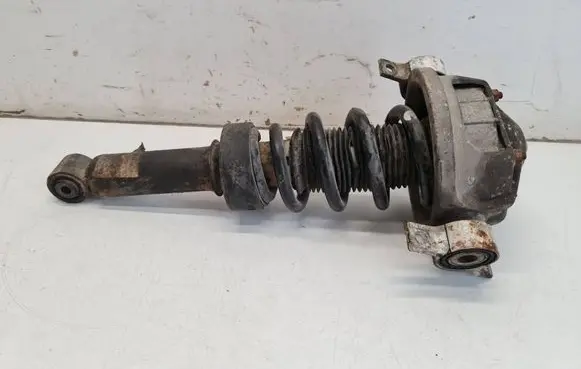 Porsche Cayenne (9PA) Rear shock absorber with coil spring 7L5513029g