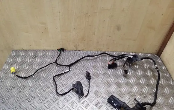 Front door wiring loom