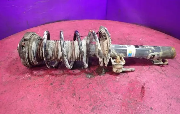 Skoda Fabia Mk1 (6Y) Front shock absorber with coil spring 22105813
