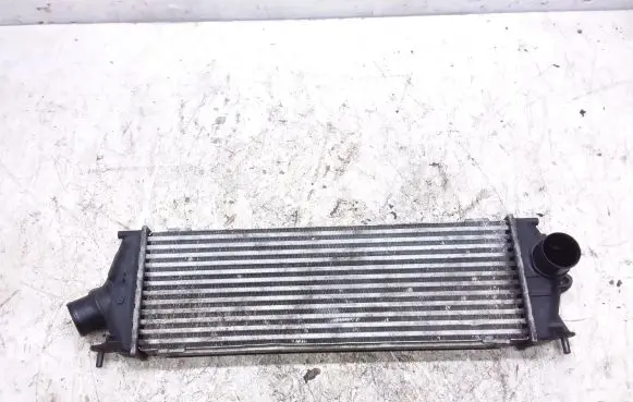 Renault Trafic II (X83) Intercooler radiator 8200411160C 93854162